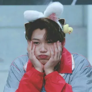🤍 Felix kpop, stray kids, fofo, orelhas de coelho, ídolo, cantor telegram sticker