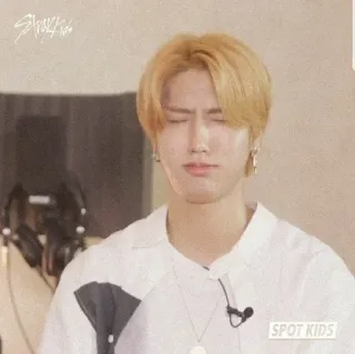 🌙 STRAY KIDS stray kids, kpop, han, idol, música, cara engraçada, entretenimento telegram sticker