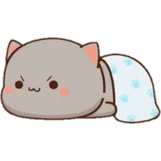 🤨 แมว, น่ารัก, สัตว์, การ์ตูน, ผ้าห่ม, โกรธ telegram sticker