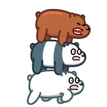 Three Bears telegram stickers