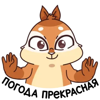 🙌 wiewiórka, zwierzę, kreskówka, słodki, śmieszny, gest telegram sticker