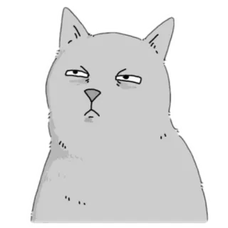 😑 gato, animal, animal de estimação, adesivo, meme, engraçado telegram sticker
