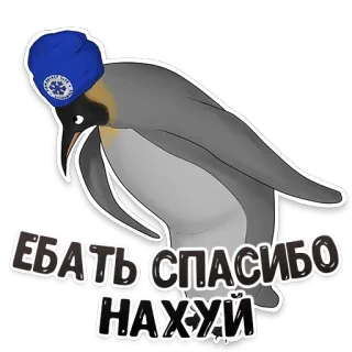 👍 ЕБАТЬ СПАСИБО НАХУЙ pinguim, russo, gíria, palavrões telegram sticker