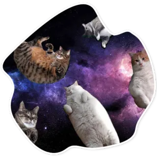 😴 koty, galaktyka, kosmos, zwierzęta, zwierzaki telegram sticker