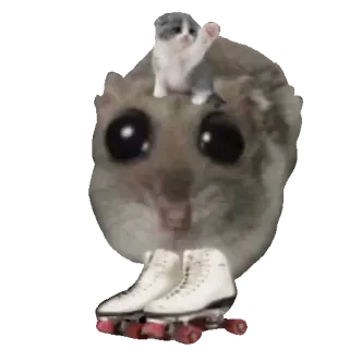 🛼 sad hamster, cat, roller skates, cute, meme, funny, animals telegram sticker