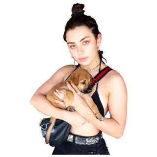 🐶 Charli XCX charli xcx, cantante, celebridad, perro, cachorro telegram sticker