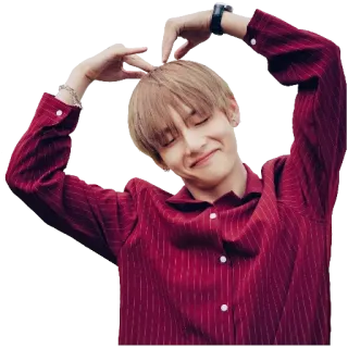 🏁 Person, Mann, Herz, K-Pop, Künstler, Promi telegram sticker
