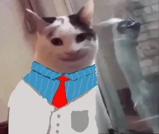 👨‍🦳 cat, meme, funny, animal, white cat, anthropomorphic, silly telegram sticker