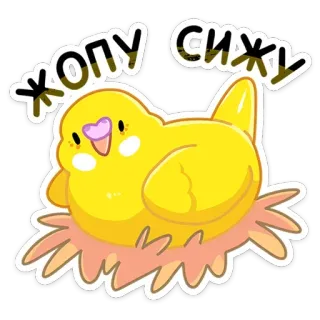 😊 ЖОПУ СИЖУ pájaro, dibujo animado, animal, lindo, amarillo whatsapp sticker