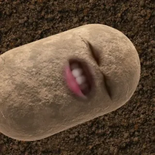 🥔 kartoffel, mund, boden, lustig, gemüse whatsapp sticker