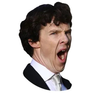 🥱 person, face, expression, meme, funny, silly telegram sticker