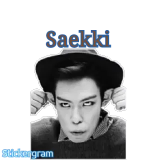 😖 Saekki kpop, offensivo, coreano, insulto whatsapp sticker