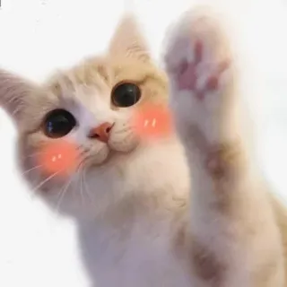 @sticksbb 🩷 <- канал со стиками whatsapp stickers
