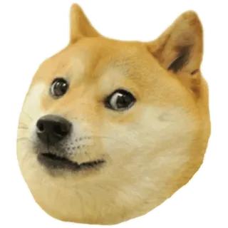 😯 Doge cane, shiba inu, meme, animale, animale domestico telegram sticker