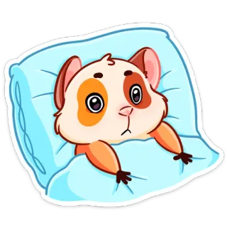 😮 porcellino d'india, animale, carino, sonno, animale domestico, cartone animato telegram sticker