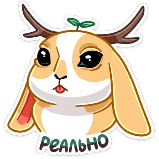 😝 Реально Hase, Kaninchen, süß, Tier, Aufkleber telegram sticker
