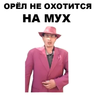 🔪 ОРЁЛ НЕ ОХОТИТСЯ НА МУХ telegram sticker