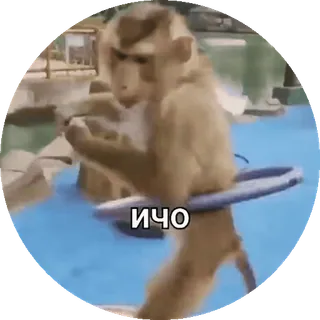 Больше стиков тут: @stikery4 telegram stickers