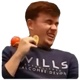 😂 WILLS
ESTABLISHED
SALCOMBE DEVON personne, sweat, wills, salcombe, devon telegram sticker