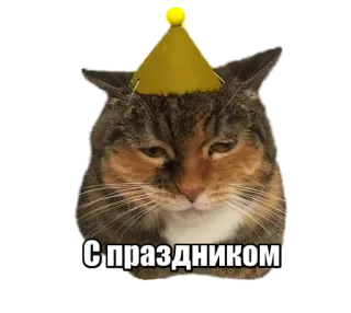 🥳 С праздником cat, party hat, celebration, greeting telegram sticker