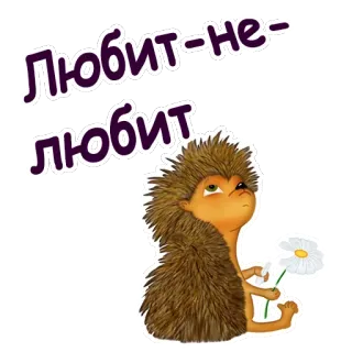 🌼 Любит-не-любит ёж, цветок, ромашка, животное, любовь, милый telegram sticker