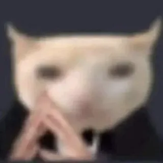 🤝 Katze, Tier, Meme, Lustig, Haustier, Süß telegram sticker