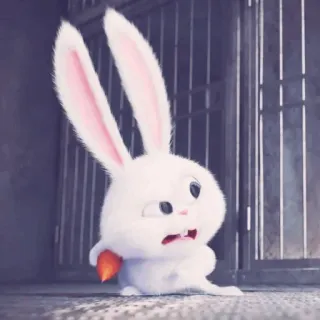 ☁️ Snowball The Secret Life of Pets lapin, blanc, mignon, dessin animé, animal whatsapp sticker