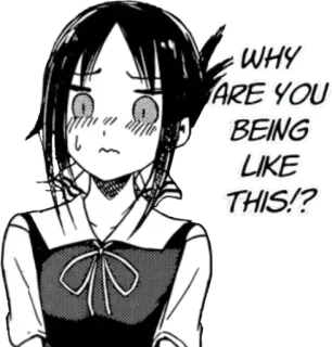 😖 WHY ARE YOU BEING LIKE THIS!? Anime, Kaguya-sama, Love is War, Cartoni animati, Divertente, Manga telegram sticker