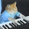 🎹