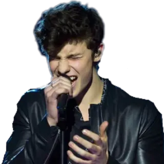 😷 Shawn Mendes singer, music, performance, celebrity, entertainer whatsapp sticker
