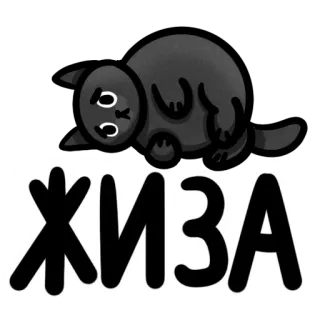 😩 ЖИЗА 고양이, 귀여운, 러시아어, 텍스트 whatsapp sticker