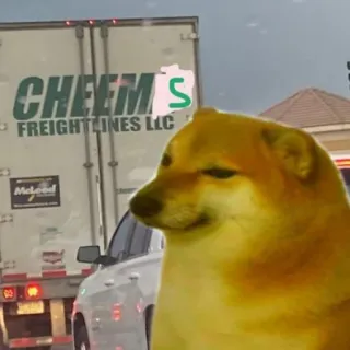 🐕 Cheems CHEEMS doge, meme, dog, cheems, internet meme telegram sticker