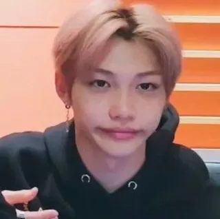 Stray Kids whatsapp stickers