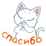 ♥️ спасибо thank you, cat, cute, gratitude, russian telegram sticker