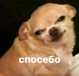 😃 спосебо telegram sticker