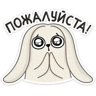 🙏 ПОЖАЛУЙСТА! królik, proszę, błaganie, zwierzę, słodki, smutny, naklejka telegram sticker