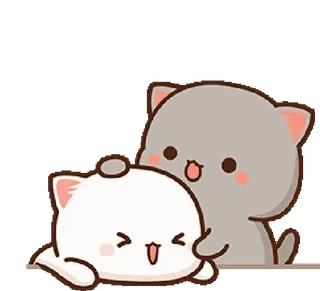 😚 Katze, Kätzchen, süß, Tier, Cartoon whatsapp sticker
