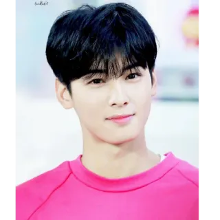 🙂 Cha Eun-woo acteur, kpop, idole, beau, célébrité whatsapp sticker