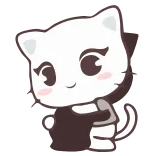 ❤️ gato, fofo, desenho animado, animal whatsapp sticker