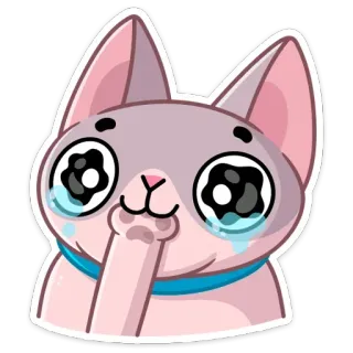 😢 gatto, dito medio, gesto offensivo, cartone animato, adesivo telegram sticker