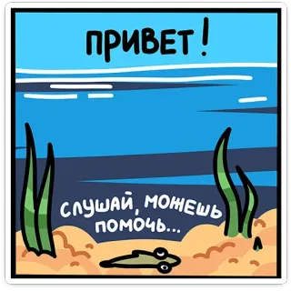 👋 ПРИВЕТ! СЛУШАЙ, МОЖЕШЬ ПОМОЧЬ... hola, dibujos animados, mar, ayuda, animal telegram sticker