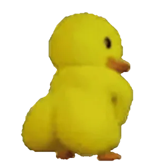 💵