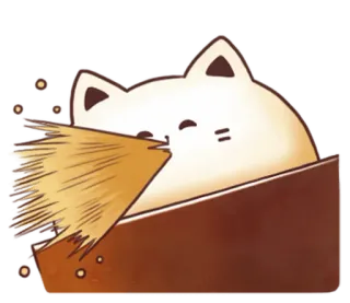 ☕ chat, mignon, animal, drôle, boîte, kawaii, mème whatsapp sticker