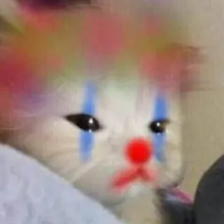 🤡 gatto, clown, triste, meme, animale, animale domestico, divertente telegram sticker