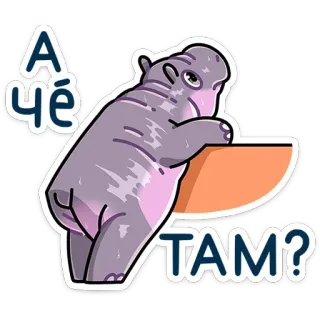 🙄 А чё там? 하마, 만화, 인사, 러시아어, 동물, 웃긴, 귀여운 telegram sticker