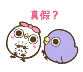 😰 真假? 올빼미, 새, 귀여운, 만화, 스티커 telegram sticker
