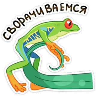 🚶‍♂ СВОРАЧИВАЕМСЯ żaba, zwierzę, rosyjski tekst, zielony, płaz telegram sticker