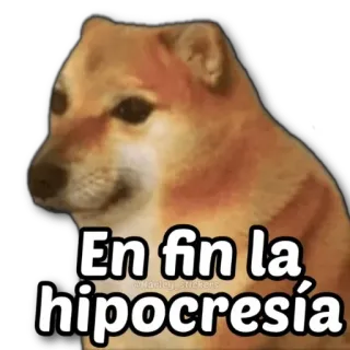🐶 En fin la hipocresía Hund, Meme, Spanisch, Ironie, Heuchelei, Humor telegram sticker