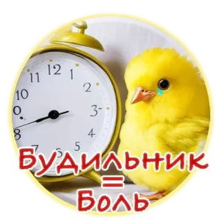 😕 Будильник = Боль будильник, птица, грустный, русский, текст, желтый, время telegram sticker