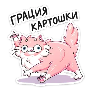 💃 ГРАЦИЯ
КАРТОШКИ кот, животное, милый, мультик, розовый, русский whatsapp sticker